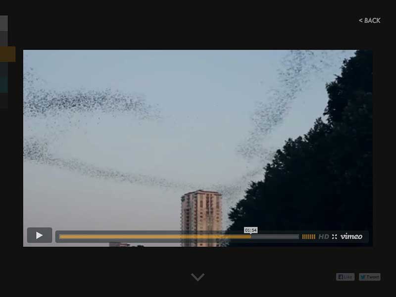 Films by Brett Johnson